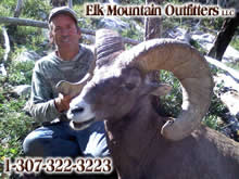 2011 Big Horn Sheep